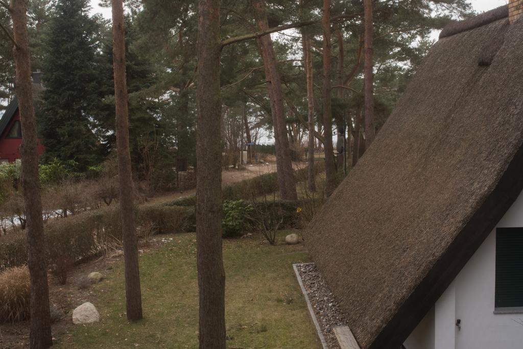Reetdach-Ferienhaus In Quilitz Rankwitz Zewnętrze zdjęcie